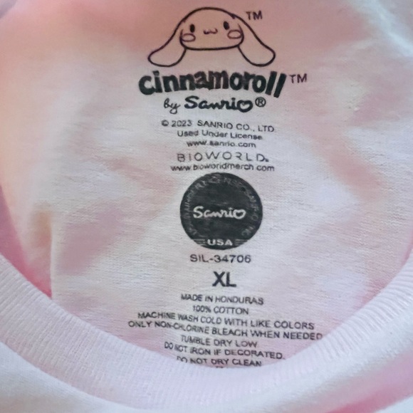 Sanrio Cinnamoroll Graphic Baby Tee (XS)